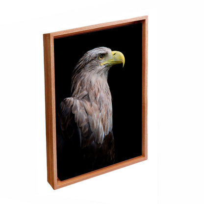 Quadro Decorativo "A águia"