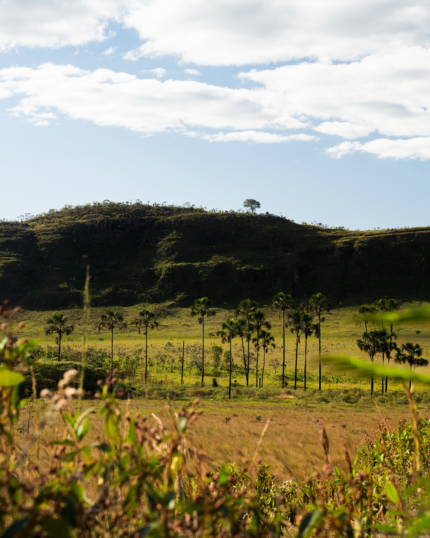 Beleza natural preservada bem perto da Sabai.